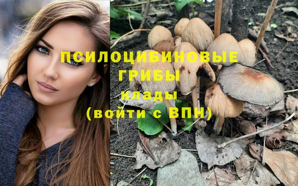 бутират Алексеевка