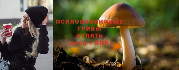 трава Алзамай