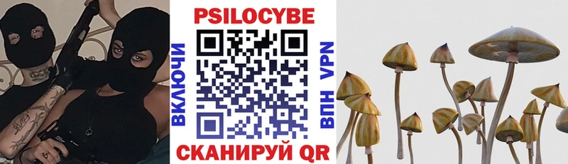 Галлюциногенные грибы Psilocybe Дедовск